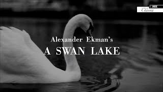 Alexander Ekman’s Swan Lake by The Norwegian National Ballet Cinema Trailer [upl. by Johnnie]