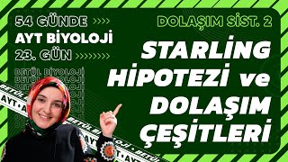 23 Starling Hipotezi ve Dolaşım Çeşitleri  Dolaşım Sistemi  11 Sınıf  2024 AYT Biyoloji 23 Gün [upl. by Enelime]