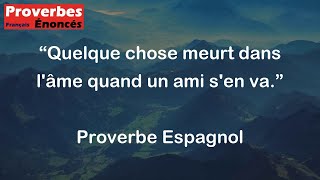 Quelque chose meurt dans lâme quand un ami sen va  Proverbe Espagnol [upl. by Alam]