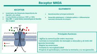 Encefalitis autoinmune por anticuerpos anti NMDAR [upl. by Claude]