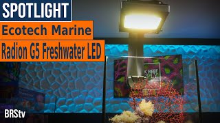 BRS Recommended Macro Algae Reef Tank LEDs EcoTech Marine Radion G5 XR15 amp XR30 Freshwater [upl. by Duston545]