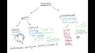 Epilepsy 5 by Coiled ENGLISH simple amp complex partial seizure generalized grand maltonicclonic [upl. by Anayeek]