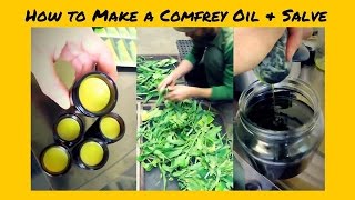 Herbal Pharmacy with Yarrow Willard  From Fresh Plant to Salve with Comfrey Leaf  Harmonic Arts [upl. by Eivol985]