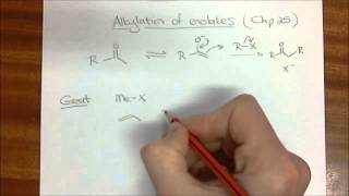 Chemistry 3 Alkylation of Enolates Introduction [upl. by Ina]