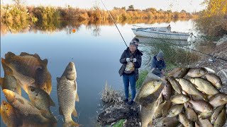 Chhunly won Bluegill Fishing in Tracy Boulevard California USA Bluegill Season Catch a lot [upl. by Beeson]