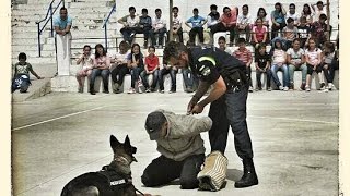 EXHIBICIÓN CANINA POLICÍA LOCAL MONTILLA Completa 24042015 [upl. by Stralka]