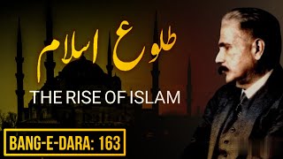 BaangeDara 163  TulueIslam  THE RISE OF ISLAM  Allama Iqbal  Iqbaliyat  Mukammalbaat [upl. by Amrac]