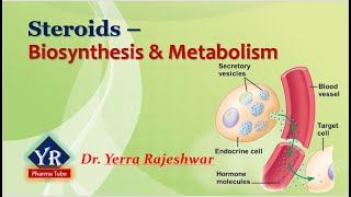 Steroids  Biosynthesis amp Metabolism  Biosynthesis and Metabolism of Steroids  YR Pharma Tube [upl. by Esta]