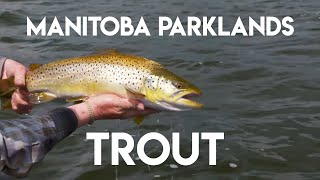 Manitoba Parklands Trout  Phil Rowley [upl. by Nwahsirhc693]