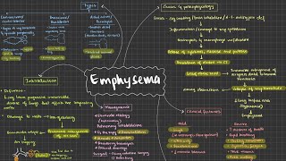 Emphysema Pathology Respiratory system [upl. by Hoseia]