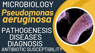 Pseudomonas aeruginosa pathogenesis  general properties virulence factors disease lab tests [upl. by Wise]