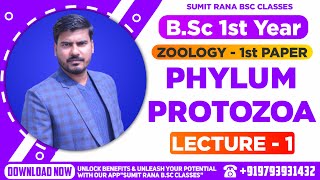 Lt01 Phylum  Protozoa Part1  BSc1st Year Zoology [upl. by Dowd483]