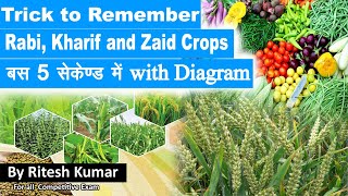 Tricks to Learn Rabi and Kharif CropsHow to learn different types of crops in easy languageRitesh [upl. by Nnylsia]