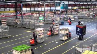 Topdrukte FloraHolland Aalsmeer  Rush hour Flower auction [upl. by Grefer]