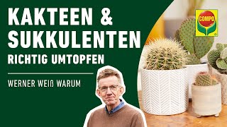 Kakteen und Sukkulenten richtig umtopfen [upl. by Berck139]