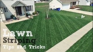 Lawn Striping  How To Achieve The Best Stripes In Your Lawn [upl. by Aiken]