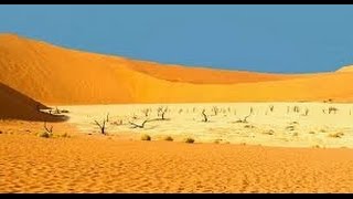 Desert Documentary HD  Kalahari Desert Wildlife Documentary [upl. by Chico85]