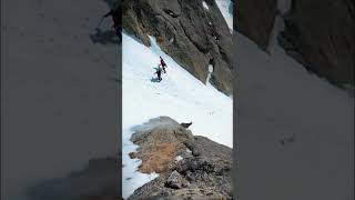 ibex running cross the mountain ibex BBCNews [upl. by Trawets287]