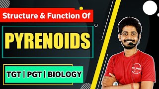 Pyrenoids In Algae  Structure and Function of Pyrinoids  Tgt pgt Biology By Bioaman Bhaiya [upl. by Bachman]