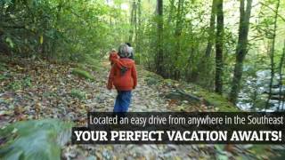 Pilot Cove  Brevard NC  Family  Vacation Rental  Cabin  Airbnb [upl. by Grous]