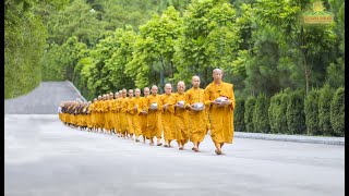 Alms Round  A Beautiful Tradition Of Buddhism  Ba Vang Pagoda Vietnam [upl. by Seiter712]