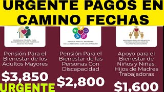 INICIAN PAGOS PENSIÓN ADULTOS 65 66 67 68 Y MÁS AQUÍ FECHAS URGENTE JUNIO JULIO [upl. by Arorua]