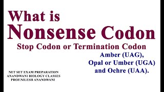 What is nonsense codon  Stop codon Termination Codon [upl. by Alyn]