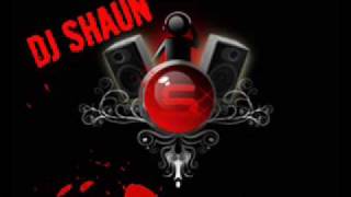 TAMIL REMIX  ILAMAI ITHO ITHO ELECTRO CLUB MIX BY DJ SHAUN www djshaun com [upl. by Renault281]