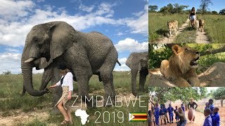 Zimbabwe 2019  1 month at Antelope Park [upl. by Orren]