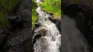 Little waterfall in Sweden 🇸🇪 storforsen [upl. by Ellennaj47]