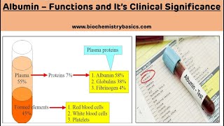 Biochemical Functions of Albumin  Clinical Significance of Albumin  Plasma Proteins [upl. by Ecienaj]