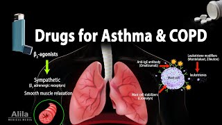 Pharmacology Drugs for Asthma and COPD Animation [upl. by Hachmin]