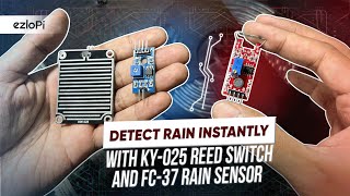 Stay Dry Build a Smart Rain amp Flood Detection System [upl. by Owens180]