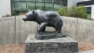 University of Alberta North Campus Edmonton 2024 Rutherford House Sweetgrass Bear Visionaries [upl. by Ambrosio124]