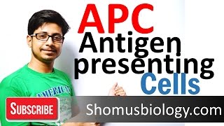 Antigen presenting cells APC [upl. by Razatlab427]