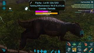 Ark survival13 pachy tame and pachy saddle [upl. by Lukash]