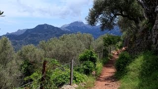 Wanderung Port de Sóller  Sóller [upl. by Luise]