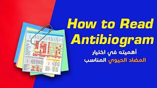 What is an Antibiogram Used For  أهمية انتي بيوجرام و المضاد الحيوي [upl. by Yrogiarc]