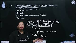 Glomerular filtration rate can be determined by calculating renal clearance of ampndash [upl. by Zosema]