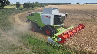 CLAAS LEXION 740 bei der Gersteernte  Ernte 2024  4K [upl. by Enwahs138]