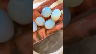 OPALINE OPALITE Eggs 🪺  Syn Gemstone  opaline synthetic glass shorts [upl. by Oikim195]