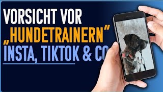 Hundetraining auf Instagram und TikTok  fahrlässig und gefährlich [upl. by Dunkin182]