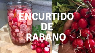 Receta Encurtido De Rábano Super Fácil 😋 encurtidoderabanos rabanos [upl. by Sinnek]