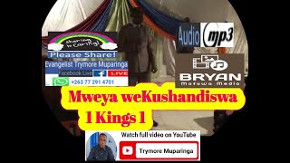 Evangelist Trymore Muparinga  Mweya weKushandiswa [upl. by Ainecey141]