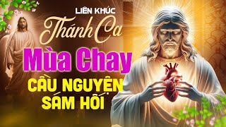 Nhạc Thánh Ca Mùa Chay 2024 Hay Nhất  Thánh Ca Nghe Để Cầu Nguyện  Ăn Chay  Sám Hối [upl. by Nahamas]