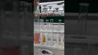 Potassium nitrite test for Cobalt ion and Potassium ion [upl. by Eal]