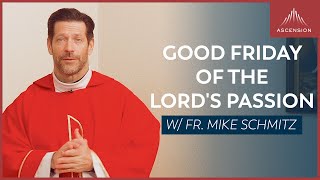 Good Friday of the Lord’s Passion  Mass with Fr Mike Schmitz [upl. by Llevram]