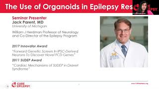 The Use of Organoids in Epilepsy Research [upl. by Sergei]