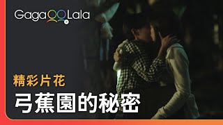 親一下再睡啦！一下就好😝︱台灣女同志電影《弓蕉園的秘密》︱GagaOOLala [upl. by Betz695]