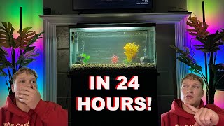 How To Cycle Your Tank In 24 Hours Quick Start [upl. by Ariadne]